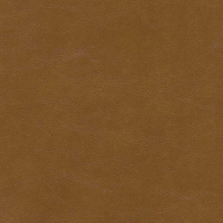 PVC-Camel