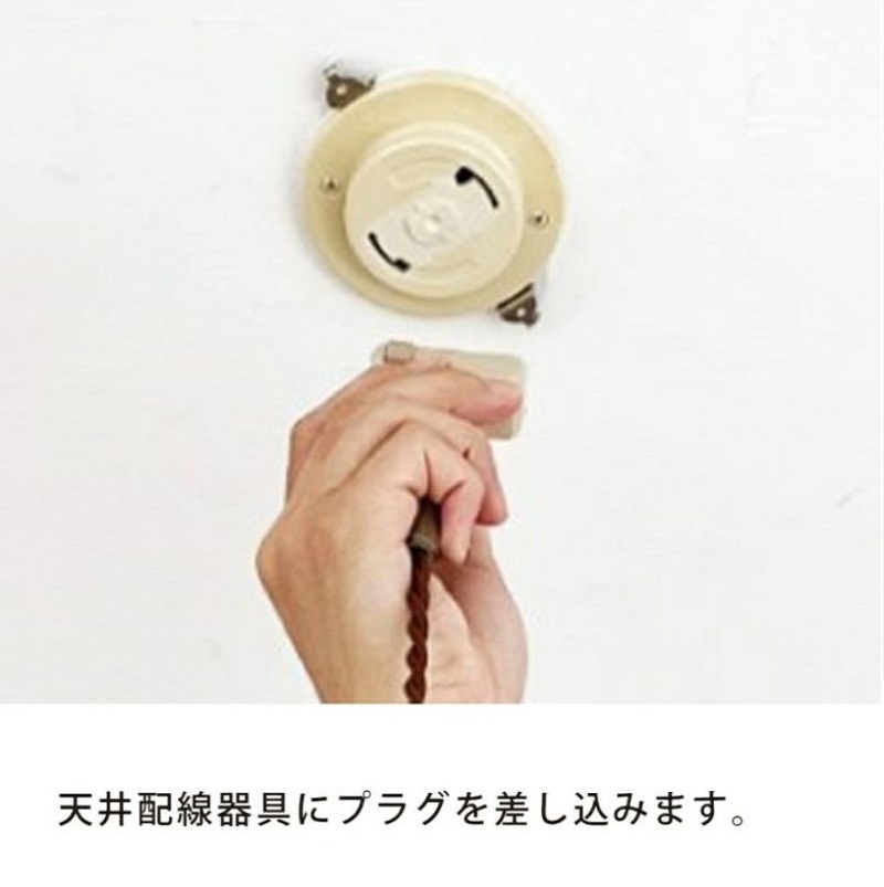 ロドニーペンダントランプ