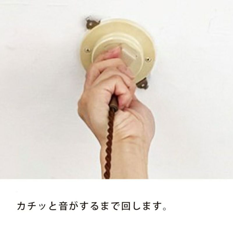 ロドニーペンダントランプ